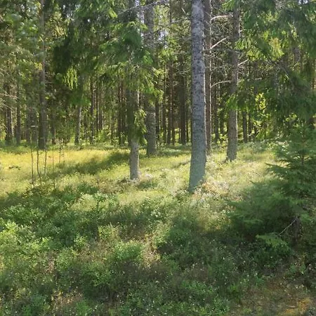 Chalet Sillaotsa Talu Nova